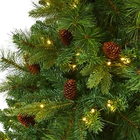 6ft. Pre-Lit West Virginia Mixed Pine Artificial Christmas Tree, Clear LED Lights