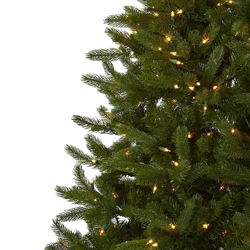 7.5ft. Pre-Lit Rembrandt Artificial Christmas Tree, Clear Lights