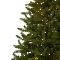 7.5ft. Pre-Lit Rembrandt Artificial Christmas Tree, Clear Lights