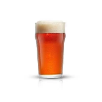JoyJolt® 19oz. Grant Beer Glasses, 8ct.