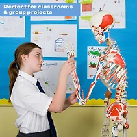 ArtSkills® 11" x 14" Heavyweight Acid Free White Poster Boards, 12ct.