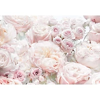 Komar Spring Roses Wall Mural