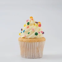 PME Cake Sweet Street® Mini Rainbow Sprinkle Mix