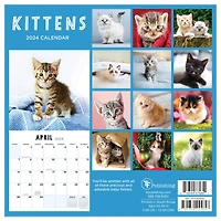 TF Publishing 2024 Kittens Mini Calendar