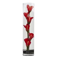 18" Mini Calla Red Lily Arrangement in Cylinder Glass Vase