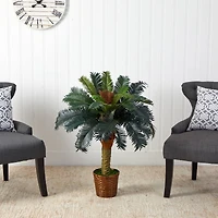 3ft. Sago Palm Tree in Woven Planter