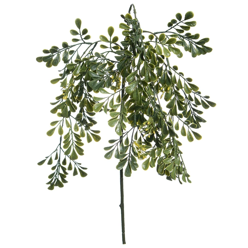 31" Hanging Seeded Boxwood Stem by Ashland®