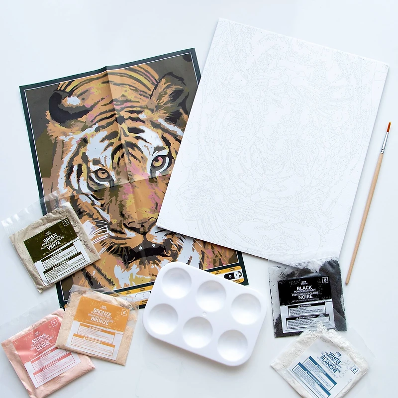 BBC Earth Canvas Board Tiger Paint by Number