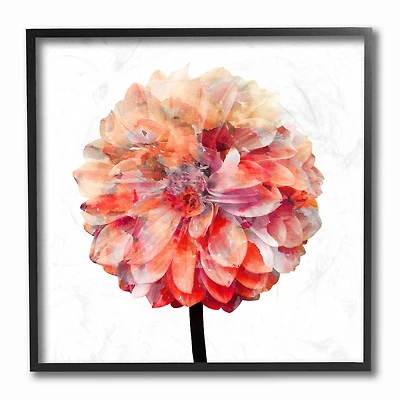 Stupell Industries Bright Coral Watercolor Bloom Dahlia Flower in Frame Wall Art