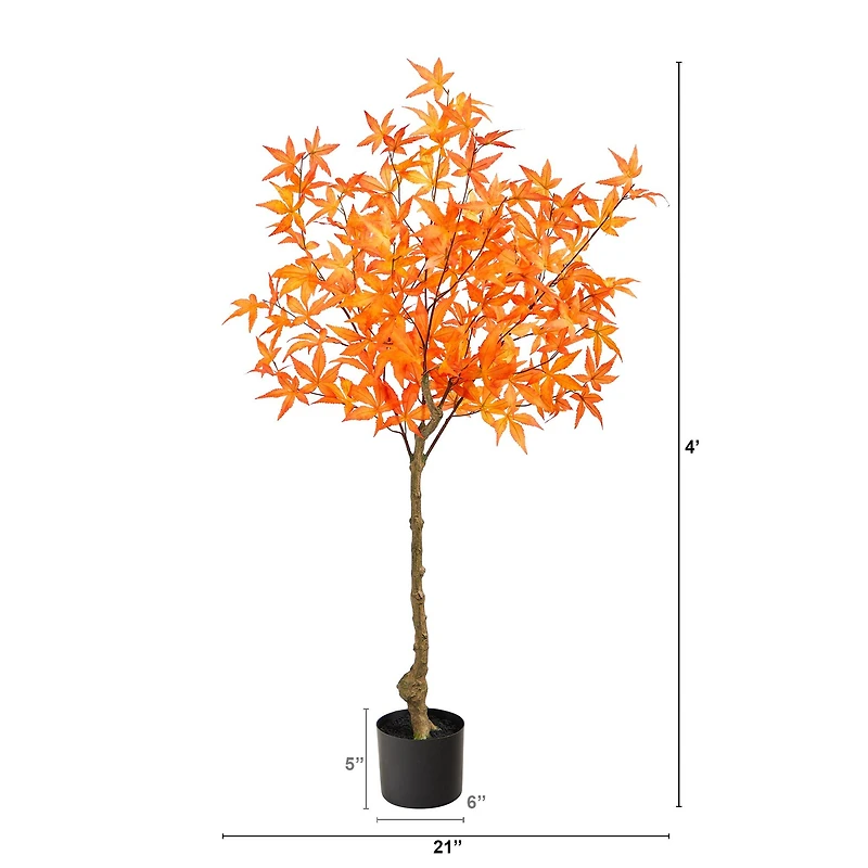 4ft. Potted Orange Autumn Maple Tree