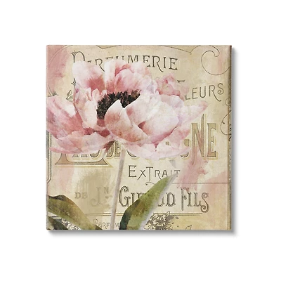 Stupell Industries Vintage Pink Peony Floral Parisian Advertisement Pattern Canvas Wall Art