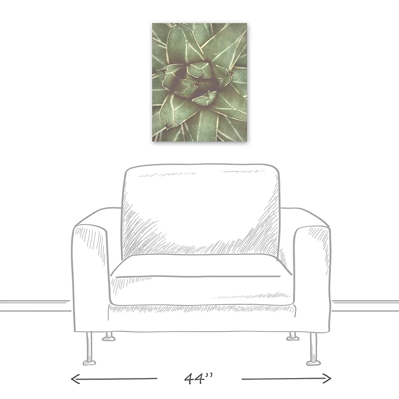 Closeup Succulent 16" x 20" Canvas Wall Art