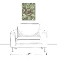 Closeup Succulent 16" x 20" Canvas Wall Art
