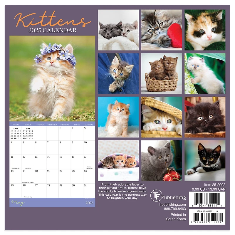 TF Publishing 2025 Kittens Mini Calendar