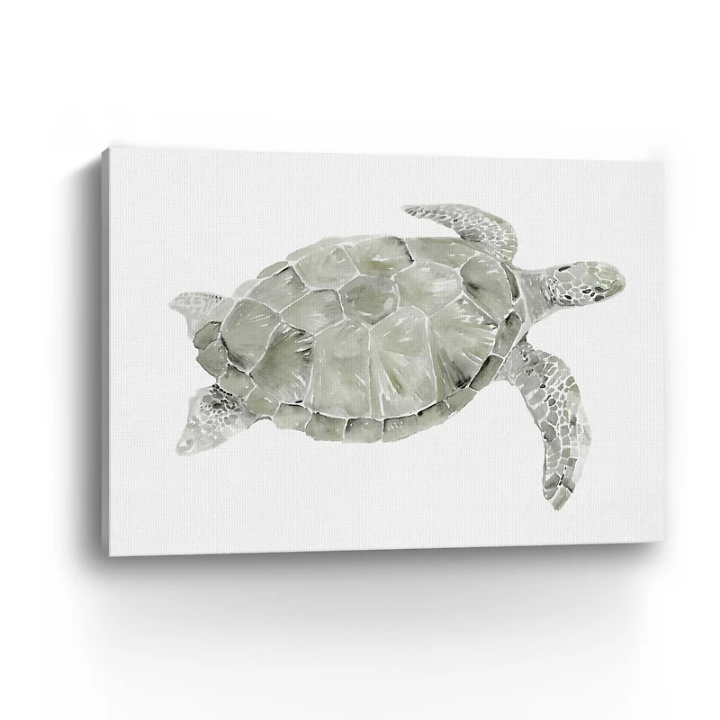 Green Swimming Sea Turtle Canvas Giclee