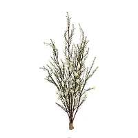 26.25" Leptospermum Flower Bundles, 6ct.