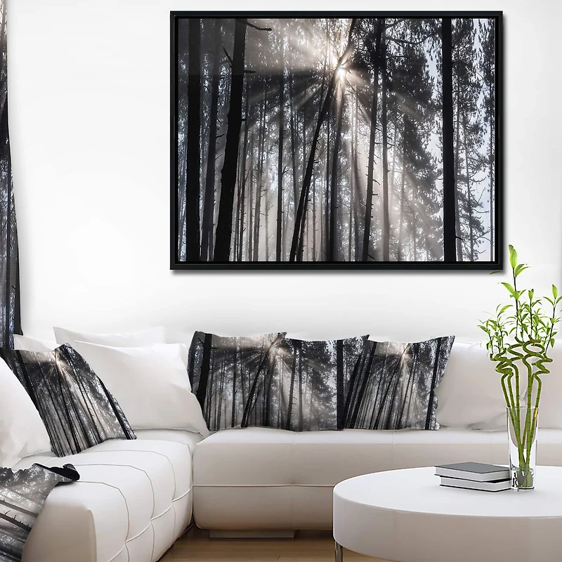 Designart - Sunbeams through Black White Forest
