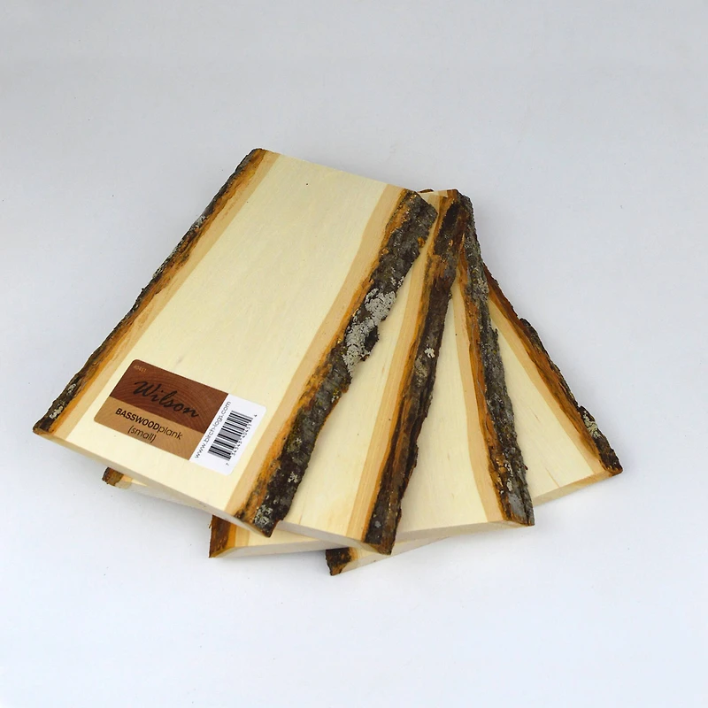 Wilson® Enterprises 20 Pack Small Basswood Plank