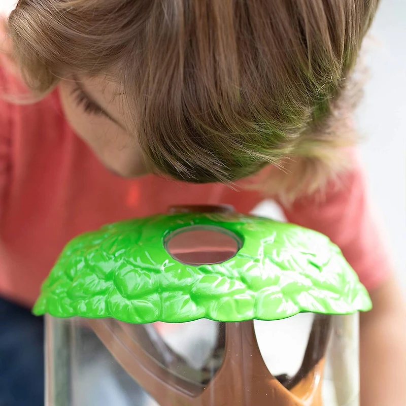 Educational Insights® GeoSafari Jr. Ladybug Garden 