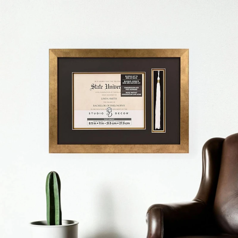 2 Opening Gold 8.5" x 11" Document & Tassel Frame with Double Mat by Studio Décor®