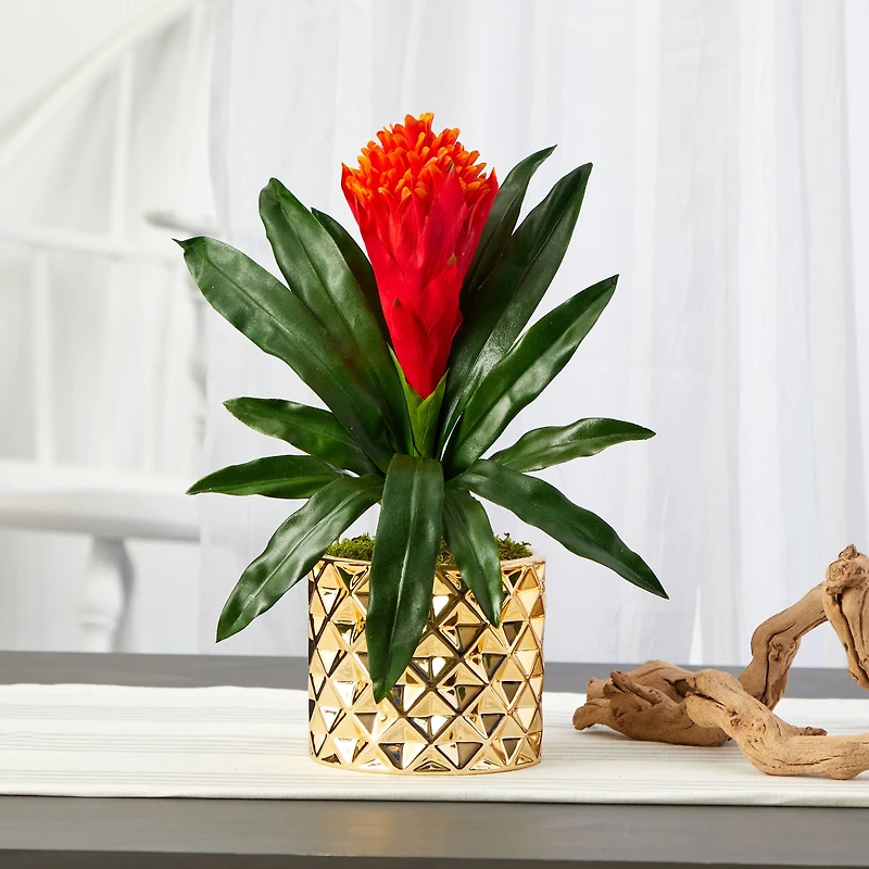 15" Bromeliad Plant in Gold Planter