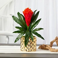 15" Bromeliad Plant in Gold Planter