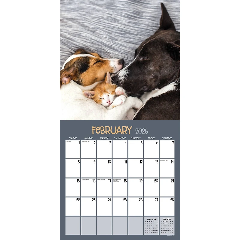 2026 Furry Friends Wall Calendar