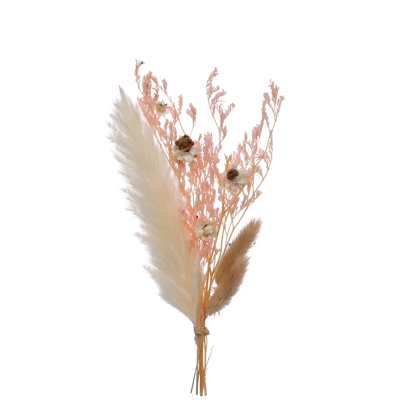 Dried Mini Bundle by Ashland