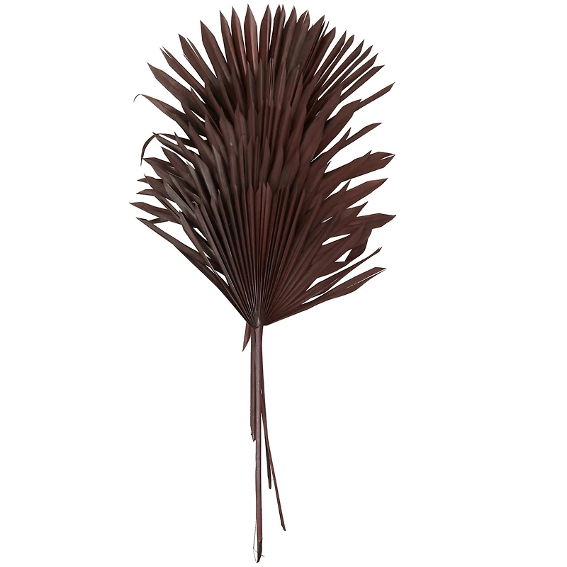Dark Brown Sun Palm Spear Leaf Foliage Bundle