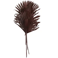 Dark Brown Sun Palm Spear Leaf Foliage Bundle