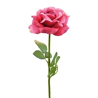 DII® Pink Flower Open Rose Set, 6ct.