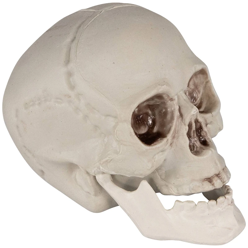 4.75" Skull Halloween Decorations, 6ct.