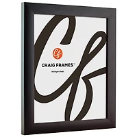 Craig Frames 4 Pack Contemporary Brazilian Walnut Picture Frame