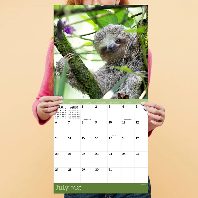 TF Publishing 2025 Sloths Wall Calendar