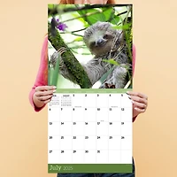 TF Publishing 2025 Sloths Wall Calendar