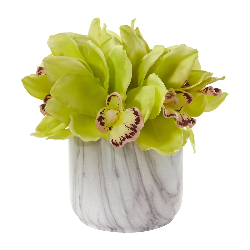 7" Boat Orchid in Marbled Vase