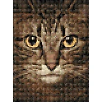 Crafting Spark Wise Cat Diamond Painting Kit