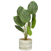 The Novogratz 16" Green Faux Foliage Calathea Artificial Plant in Porcelain Pot