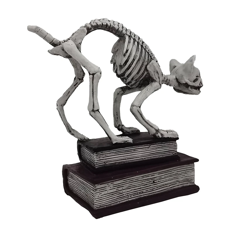 7" Skeleton Cat with Books Tabletop Décor by Ashland®
