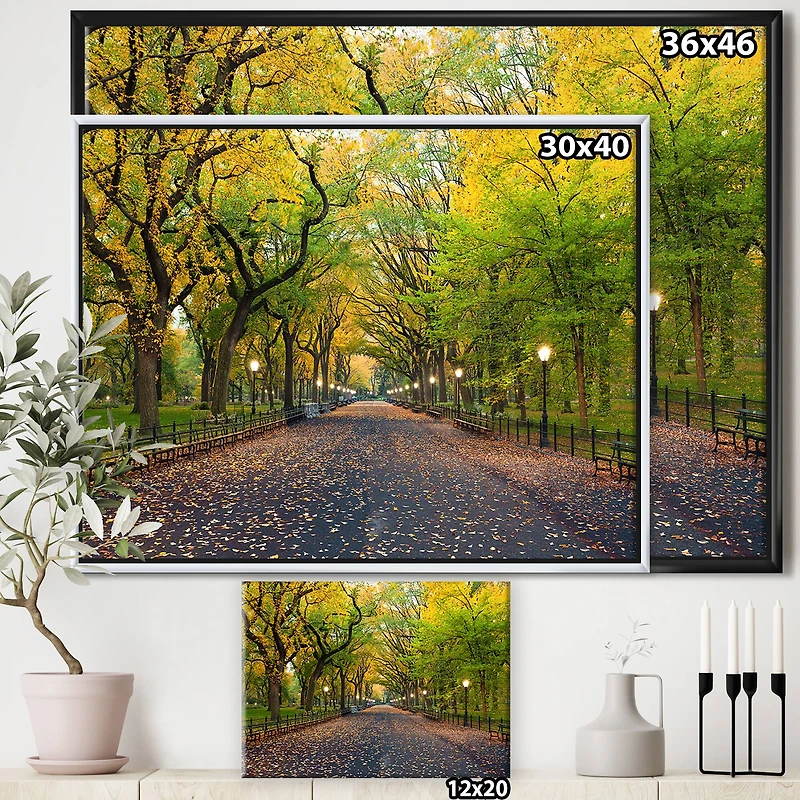 Designart - The Mall Area in Central Park