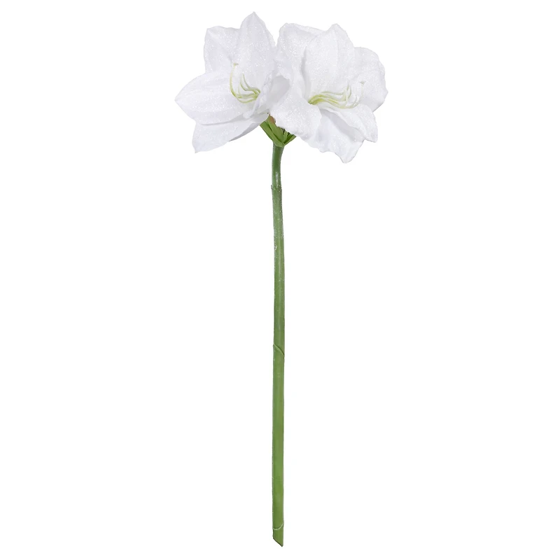 26" Snow White Amaryllis Stem by Ashland®