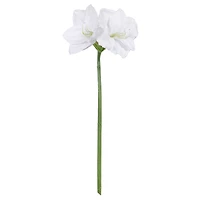 26" Snow White Amaryllis Stem by Ashland®