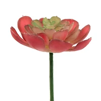 Flora Bunda® Small Echeveria Succulent Pick