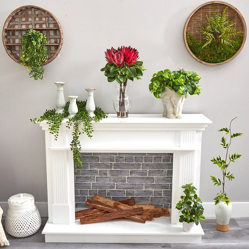 23" Red King Protea Arrangement in Glass Vase