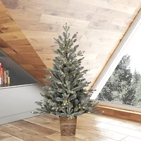 4ft. Pre-Lit Gooding Potted Pine Artificial Tree, Warm White LED Mini Lights