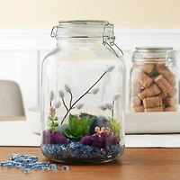 12 Pack: Hermes Jar by Ashland™