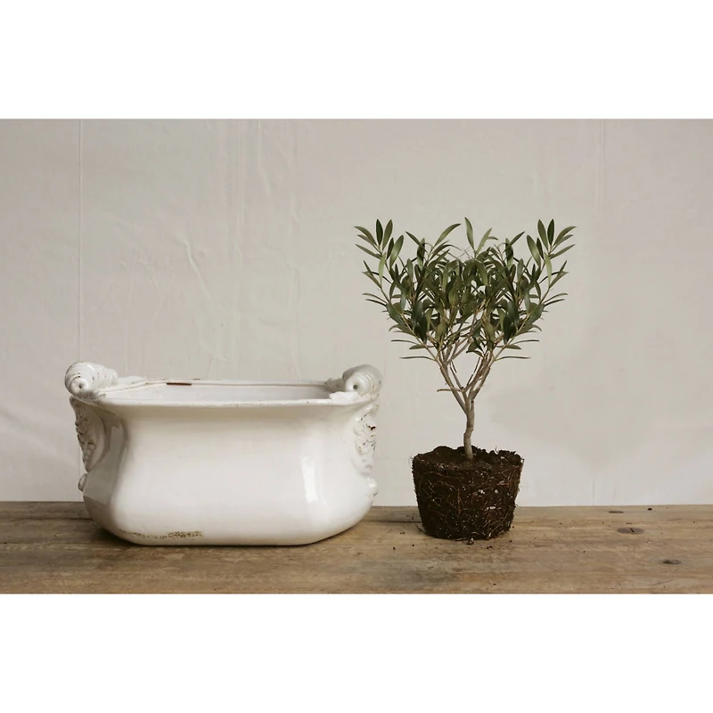 Hello Honey® 16" White Terracotta Cache Pot