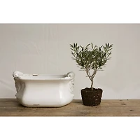 Hello Honey® 16" White Terracotta Cache Pot