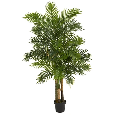 6ft. Potted Areca Palm Tree