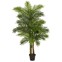 6ft. Potted Areca Palm Tree